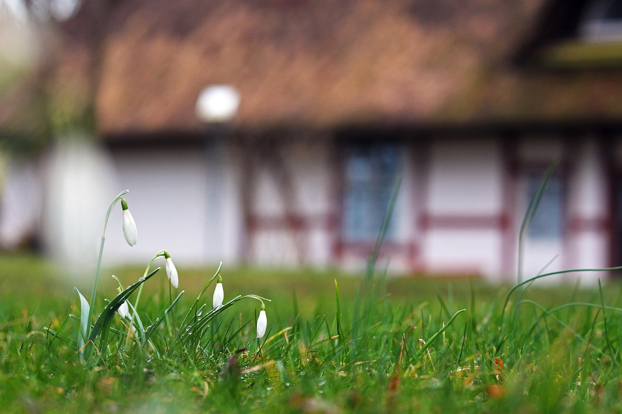 Gezellige zithoek in een weelderige tuin Gezellige zithoek in een weelderige tuin
