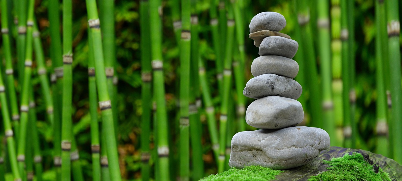 Scandinavische woonkamer met zen-invloeden en natuurelementen. Scandinavische woonkamer met zen-invloeden en natuurelementen.